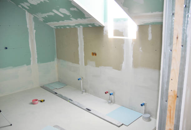 Mold Removal