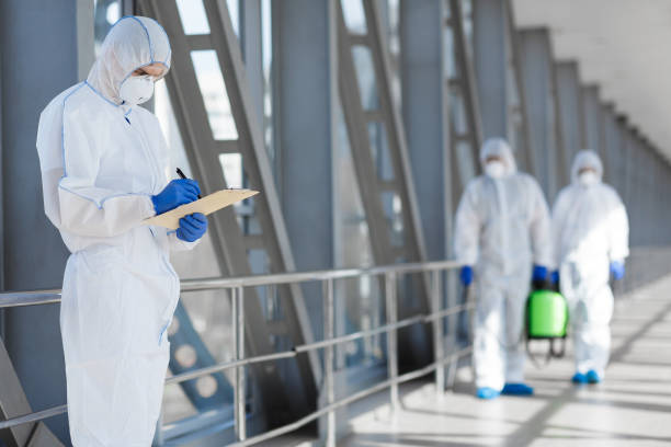  Ben Avon, SC Mold Removal Pros
