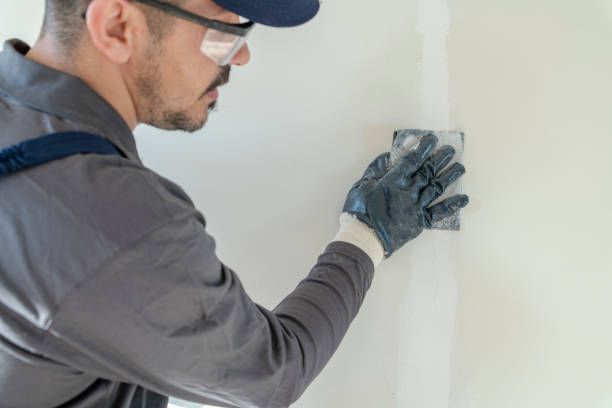 Best Emergency Mold Remediation  in Ben Avon, SC