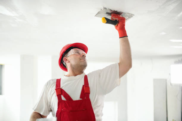 Best Real Estate Mold Inspection  in Ben Avon, SC