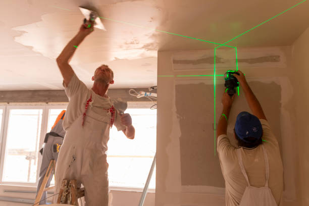 Mold Remediation for Rental Properties in Ben Avon, SC