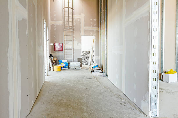 Environmental Consulting for Mold Prevention in Ben Avon, SC