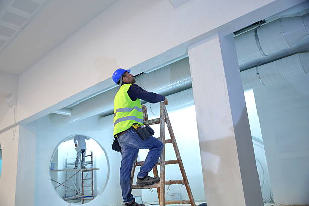 Best Commercial Mold Inspection  in Ben Avon, SC